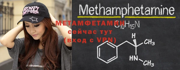 шишки Белокуриха
