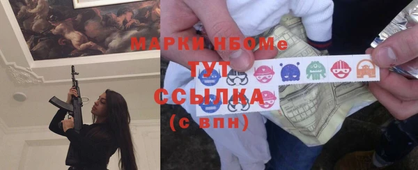 шишки Белокуриха