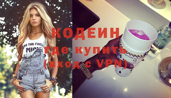 шишки Белокуриха