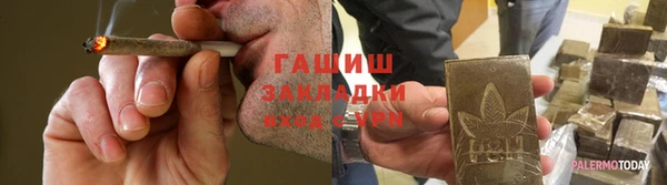 шишки Белокуриха