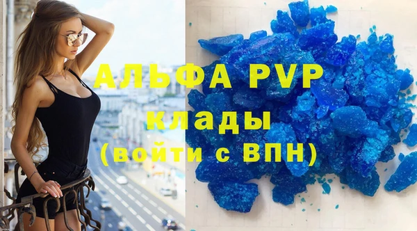 шишки Белокуриха