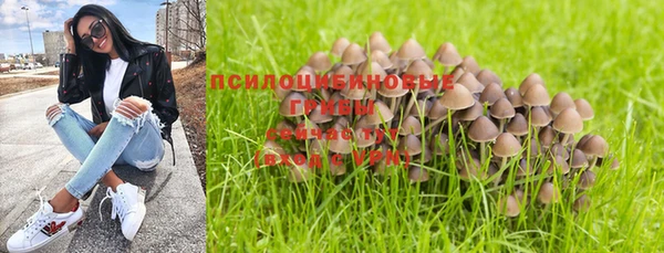 дурь Белоозёрский