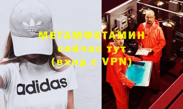 шишки Белокуриха