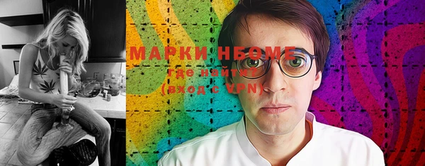 шишки Белокуриха