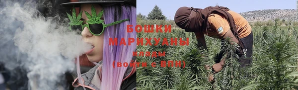 шишки Белокуриха