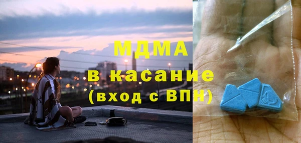 шишки Белокуриха